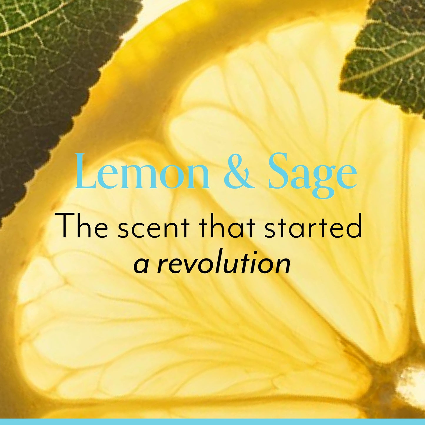 Lemon & Sage Luscious Hand Wash